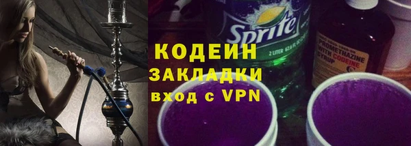 ECSTASY Алзамай