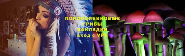 сатива Абдулино