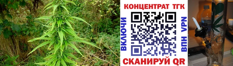 блэк спрут вход  Калининград  ТГК концентрат 