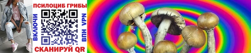 Галлюциногенные грибы GOLDEN TEACHER  Калининград 
